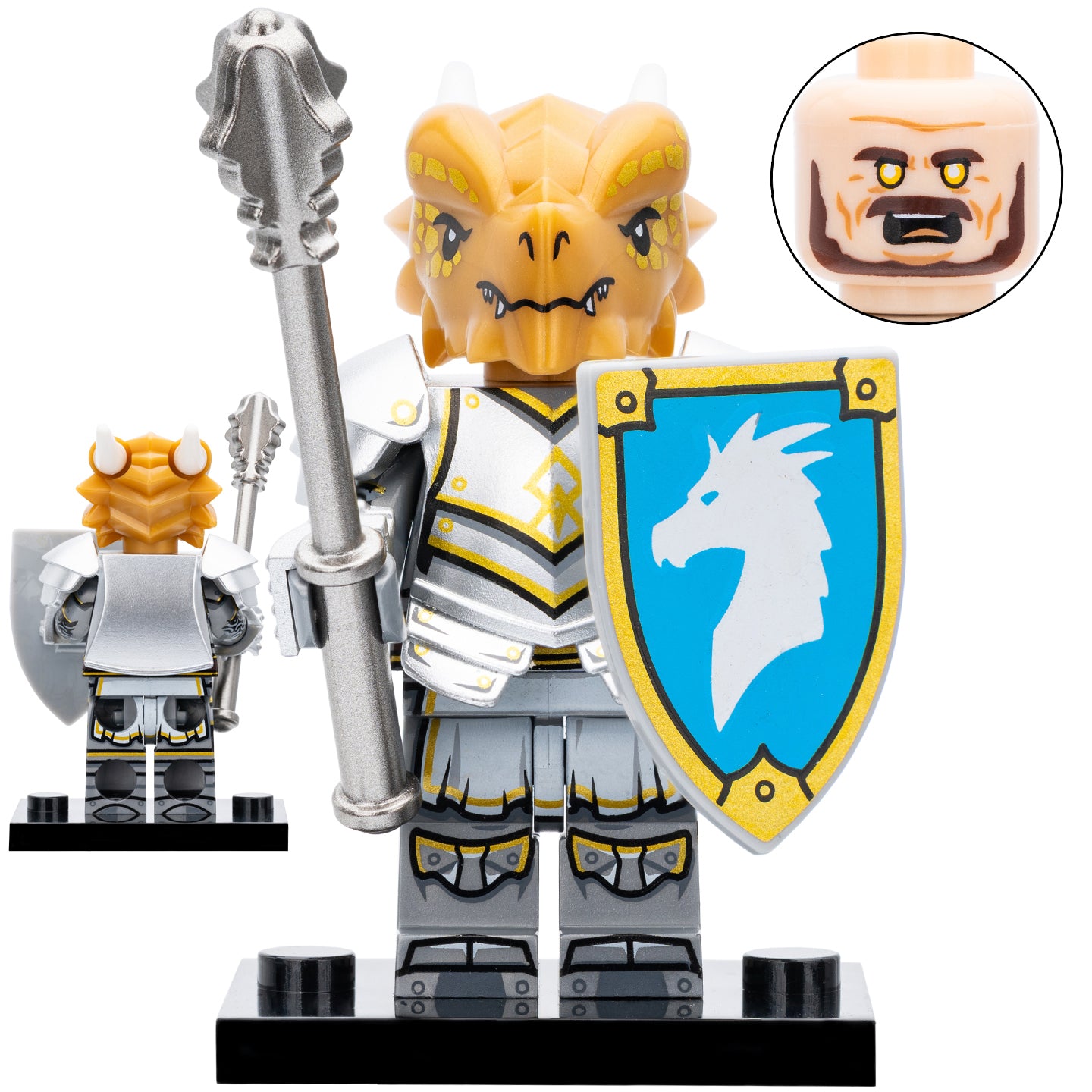 Dragonborn Paladin