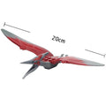 Pteranodon Ptera Dinosaur